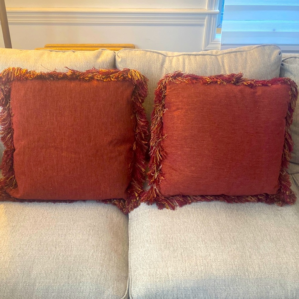 Custom Beautiful pillows 20 by 20